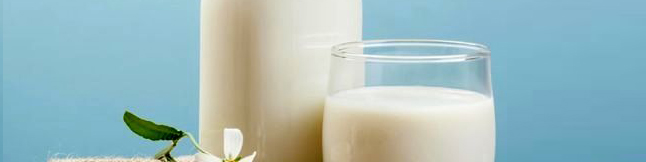 شیرخام گران نمی شود/ افزایش قیمت مشروط به حذف ارز ۴۲۰۰ تومانی است