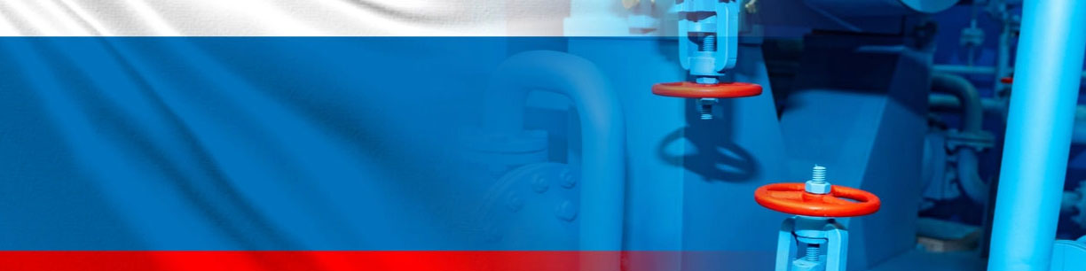 وزیر انرژی روسیه: اروپا نمی تواند گاز روسیه را تا سال 2027 کنار بگذارد