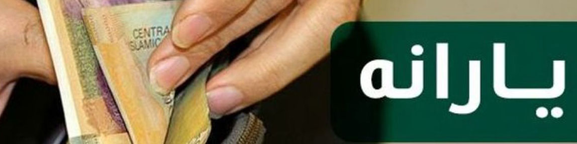 برقراری مجدد یارانه 3 میلیون نفر/ خرید ارز کارت ملی جزء فعالیت اقتصاد خانوار است