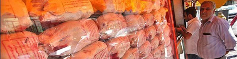 مدیرعامل اتحادیه مرغداران: مرغ در مبدا گران نیست، اشکال از واحدهای فروش است