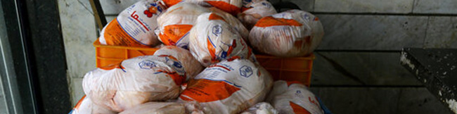 عرضه مرغ منجمد؛ بلای جان تولیدکنندگان!