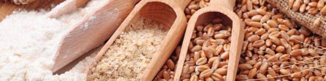 پیشفروش نهادهها در بازارگاه نهادههای کشاورزی