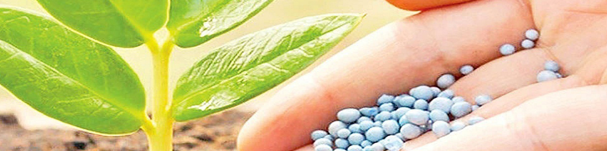 برنامهای برای افزایش قیمت کودهای یارانهای در سال آینده نداریم