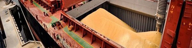 معطلی کشتی حامل گندم در لنگرگاه بندرامام