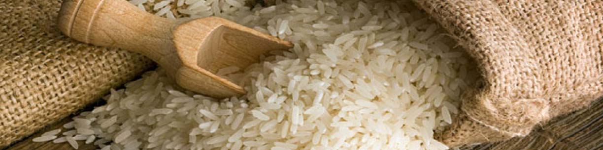 پیشنهاد کاهش زمان ممنوعیت واردات برنج