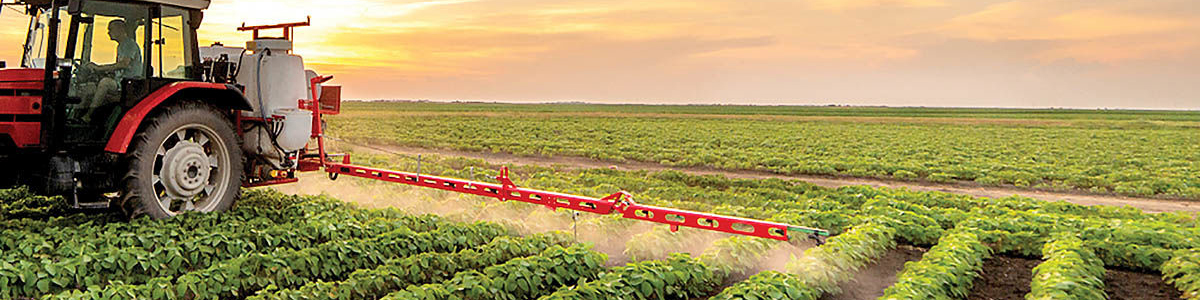 ضریب خودکفایی بخش کشاورزی ۸۰ درصد است