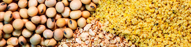 حذف قیمتگذاری دستوری و سهمیهبندی خوراک دام و طیور