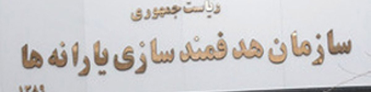 ۲۵ هزار میلیارد تومان از منابع سازمان هدفمندسازی یارانهها وصول شد
