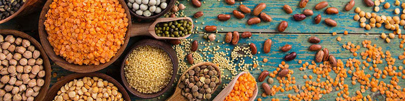 صادرات ۶۰ هزار تن نخود رسمی از ایران به کشورهای همسایه
