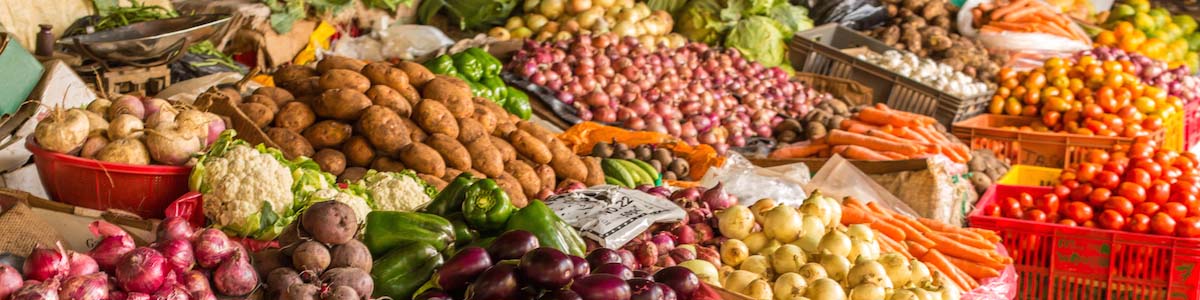 رشد ۱۸ درصدی صادرات محصولات غذایی و کشاورزی به آفریقا