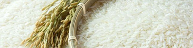 قحطی خاموش/ برنج هندی خالی از مواد مغذی و پُر از آرسنیک