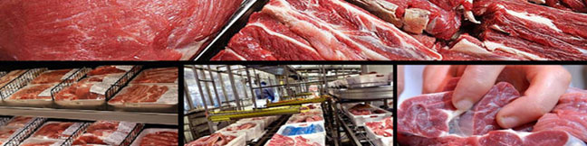 افزایش واردات؛ تنها راهکار تنظیم بازار گوشت گوسفندی برای ایام پایانی سال