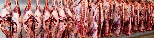 جبران کسری بازار گوشت از محل واردات/ بازار گوشت به ثبات میرسد