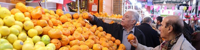 آمادهسازی ۲۰ هزارتن میوه شب عید/خرمای ماه رمضان ۱۵درصد زیر قیمت بازار عرضه میشود