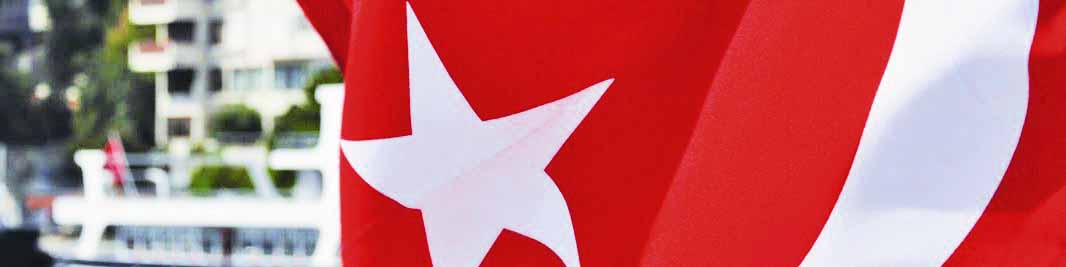 مذاکرات روسیه و ترکیه درباره ایجاد نیروگاه هستهای و هاب گازی