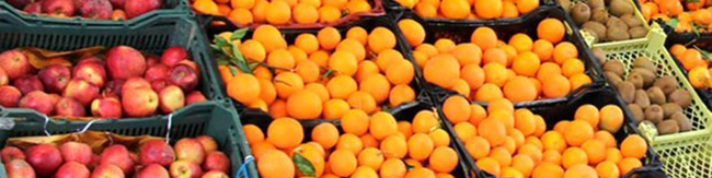 میوه شب عید امسال قیمت مصوب ندارد/ توزیع بیش از نیاز برای رقابتی کردن بازار