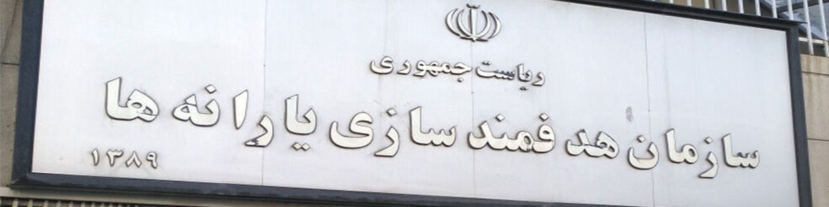 سرپرست سازمان هدفمندسازی یارانهها منصوب شد