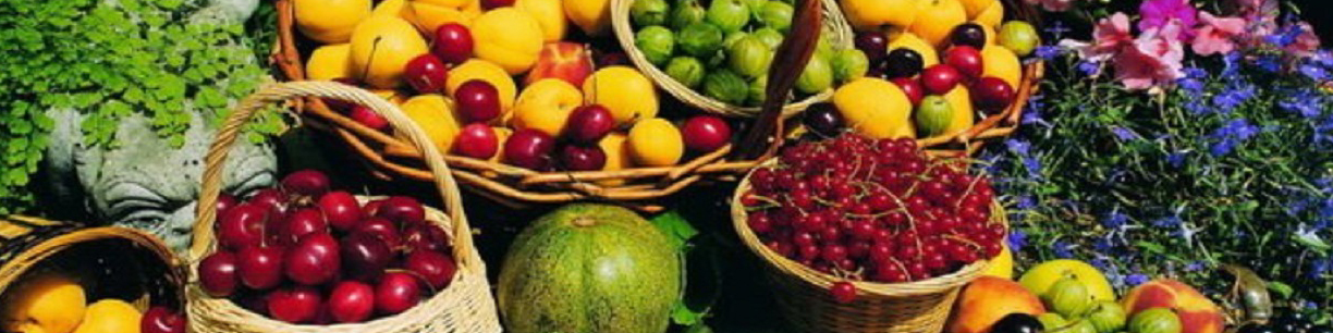 بازار میوه عید قربان نوسانی ندارد