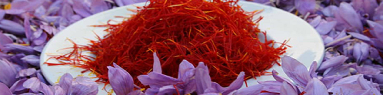 صادرات زعفران به ۴۲ تن رسید