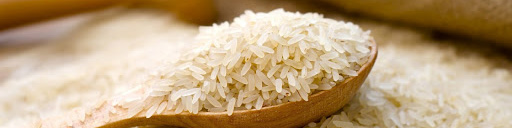 نیازی به واردات برنج نداریم