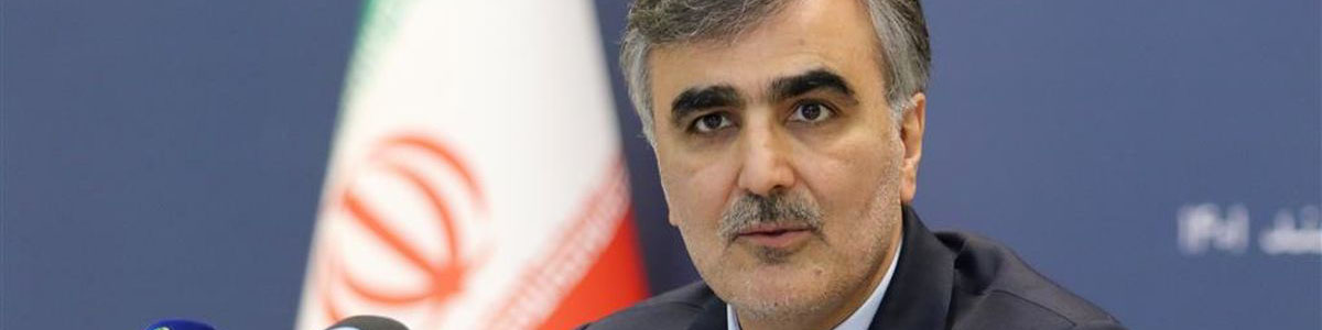 محمدرضا فرزین: ایران عضو و سهامدار بانک بریکس میشود