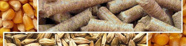 آخرین سقف قیمت ارزی انواع نهادههای دامی و غلات اعلام شد