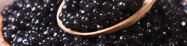 صادرات ۱۱ تن خاویار رسمی و مسافری به بازارهای هدف