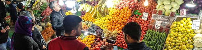 عرضه میوه تنظیم بازار با ۳۰ درصد ارزانتر از بازار